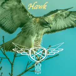 Hawk by Pflaster album reviews, ratings, credits