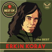 Best of... The Best, Vol. 1 - Erkin Koray