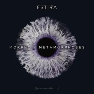 descargar álbum Estiva - Morpho Metamorphoses