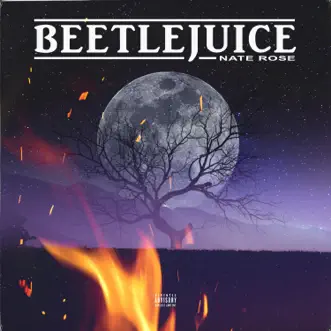 Beetlejuice - Single by Nate Rose album reviews, ratings, credits