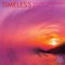 Timeless (Hilton Caswell Remix) [feat. Env Vox] - Richard Harrington lyrics