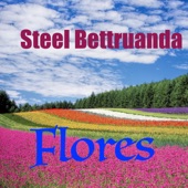 Steel Bettruanda - Lost in the Moment