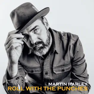 Album herunterladen Martin Harley - Roll With The Punches