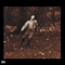 Crawford - Biv lyrics