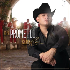 Te He Prometido - Single
