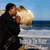 Voices In the Water artwork