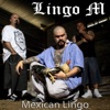 Mexican Lingo