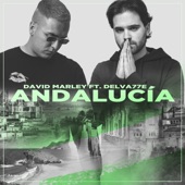 Andalucía (feat. Delva77e) artwork