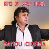 King of Gipsy Music artwork