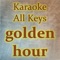Golden Hour (Instrumental) artwork
