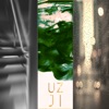 UZJI - A1z