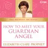 How to Meet Your Guardian Angel (Live) album lyrics, reviews, download
