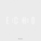 Echo artwork