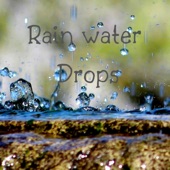 Rain Water Drops artwork