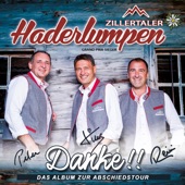 Die Zillertalerinnen artwork