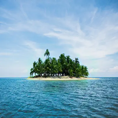 New Island - Single - Cycle