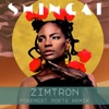 Zimtron (Foremost Poets Mix) - Club Versions - EP