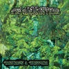The Algorhythms - Howl at the Moon