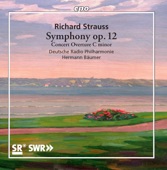 Symphony No. 2 in F Minor, Op. 12, TrV 126: II. Scherzo. Presto artwork