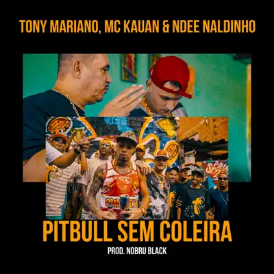 Pitbull Sem Coleira (feat. Mc Kauan & Ndee Naldinho) - Single - Ndee Naldinho Pitbull Sem Coleira (feat. Mc Kauan & Ndee Naldinho) - Single - Ndee Naldinho