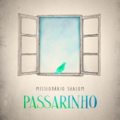 Passarinho artwork