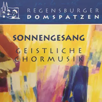 Deutsche Liturgie, B 57: I. Kyrie by Die Regensburger Domspatzen & Roland Büchner song reviws