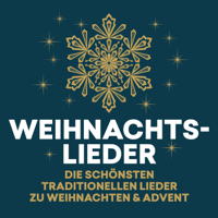 Verschiedene Interpreten - Weihnachtslieder - die schönsten traditionellen Lieder zu Weihnachten & Advent artwork