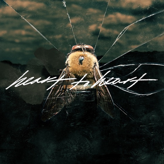 Cover artwork for Gv