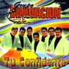 Grupo Innovación - Medias Negras