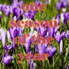 One Season of the Year - Single