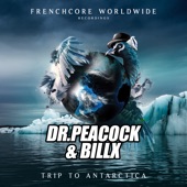 Trip to Antarctica artwork