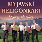 To myjavské pole artwork