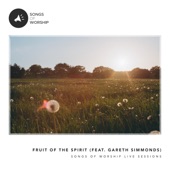 Fruit of the Spirit (feat. Gareth Simmonds) [Live] artwork