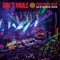 Mule - Gov't Mule lyrics