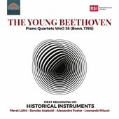 The Young Beethoven artwork
