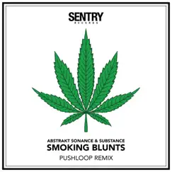 Smoking Blunts (Pushloop Remix) Song Lyrics