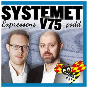 Systemet