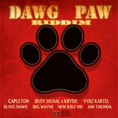 Dawg Paw Riddim artwork