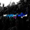 Weeping Willow - Single