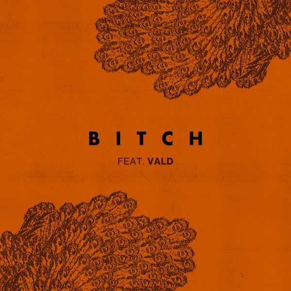 Bitch (feat. Vald) - Single - Lefa