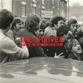 The Shrives - Madnight