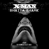 Shatta Shark (feat. Dj Kawest & T-Gui) artwork