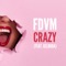 Crazy (feat. Gelbuda) - FDVM lyrics