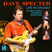 Dave Specter - In Too Deep