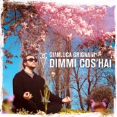 Dimmi cos'hai artwork