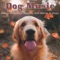 Puppy Dog Eyes - Relaxmydog, Dog Music Dreams & Pet Music Therapy lyrics