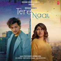 Tulsi Kumar & Darshan Raval - Tere Naal - Single artwork