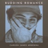 Budding Romance - Single