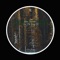 8Trece - Alex Sounds lyrics