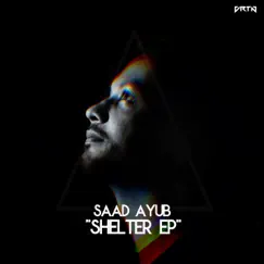 Shelter - EP by Saad Ayub album reviews, ratings, credits
